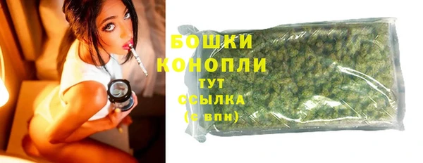 молекула духа Мегион