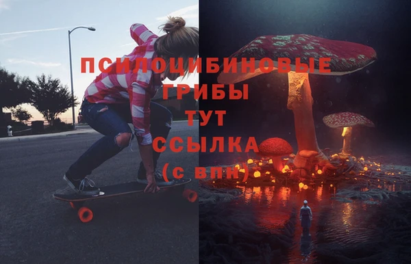 молекула духа Мегион