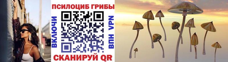 продажа наркотиков  Малаховка  Псилоцибиновые грибы Psilocybine cubensis 